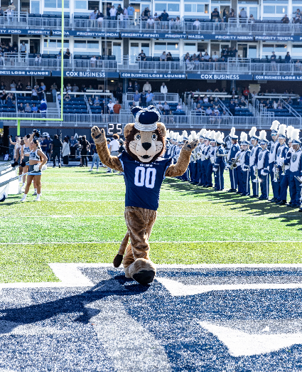 mascot on the football field