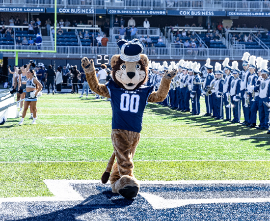 mascot on the football field